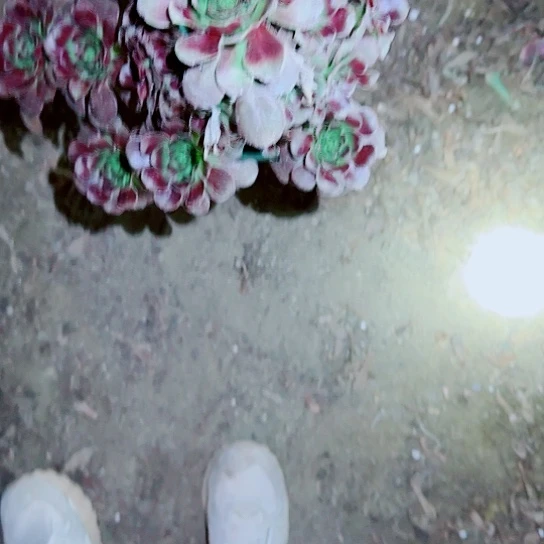 188 一颗加急发明天发