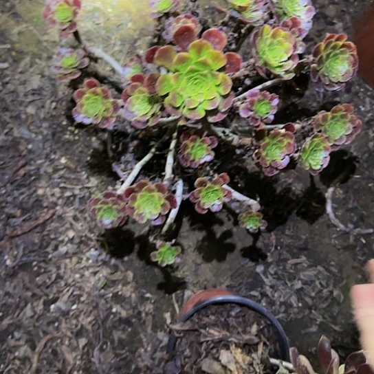 73 加急发货，满15包邮