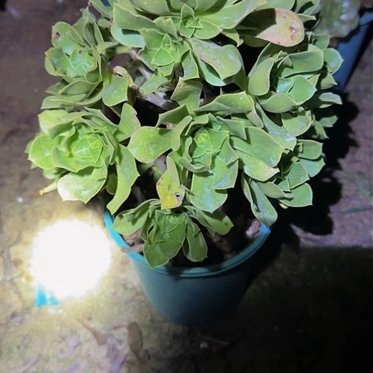 62加急发明天早上八点