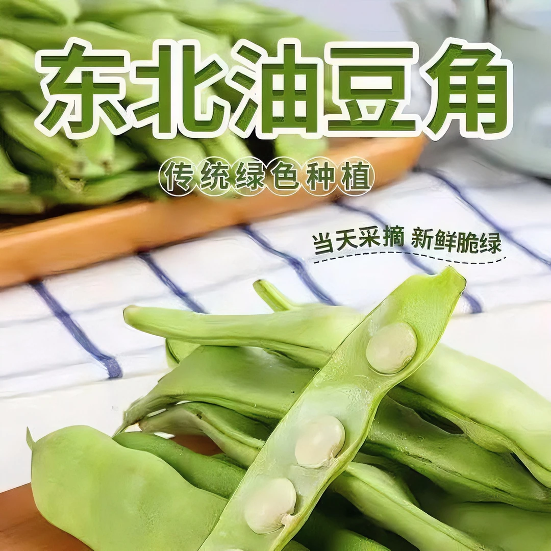 东北特产新鲜油豆角现摘九月青豆角东北油豆角