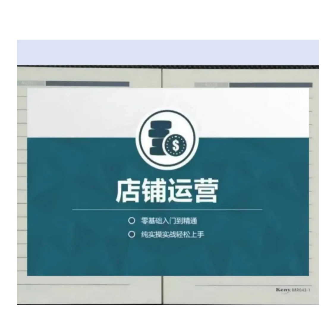 ai店铺运营陪跑本册13