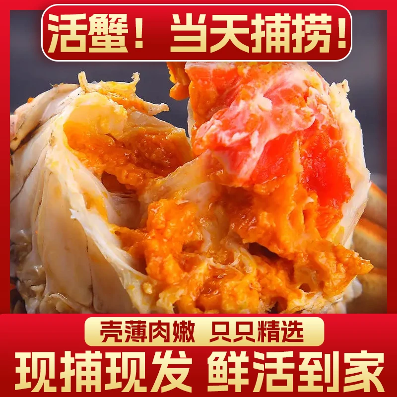 【江苏活蟹】鲜活大闸蟹 公3.6-3.3两 母2.8-2.5两 共10只 礼盒HC2