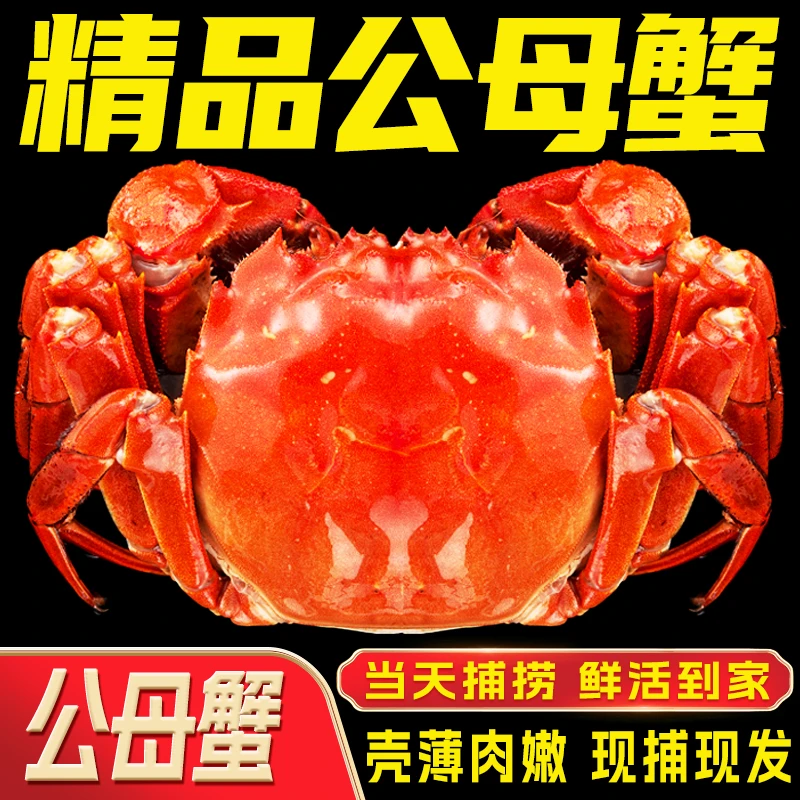 【江苏活蟹】鲜活大闸蟹 公4.0-3.7两 母3.0-2.7两 共10只 礼盒 C