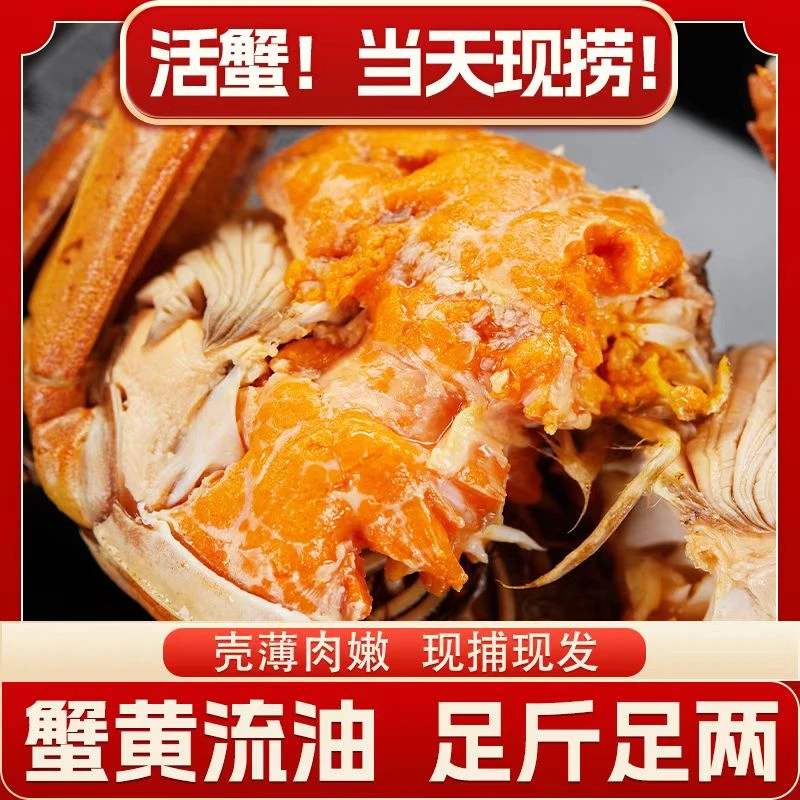 【江苏活蟹】鲜活大闸蟹 全母2.3-2.0两 共10只 礼盒JY