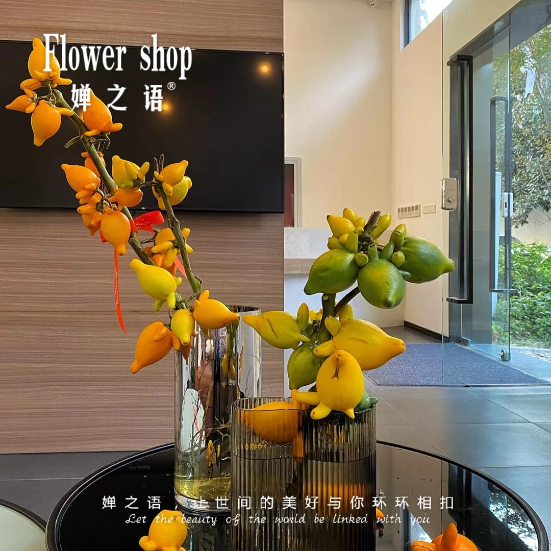优选精品五代同堂果乳茄果年宵花可做干花新鲜鲜切花