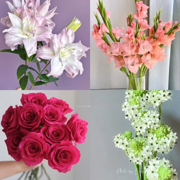 【冲浪者】鲜花组合4件套