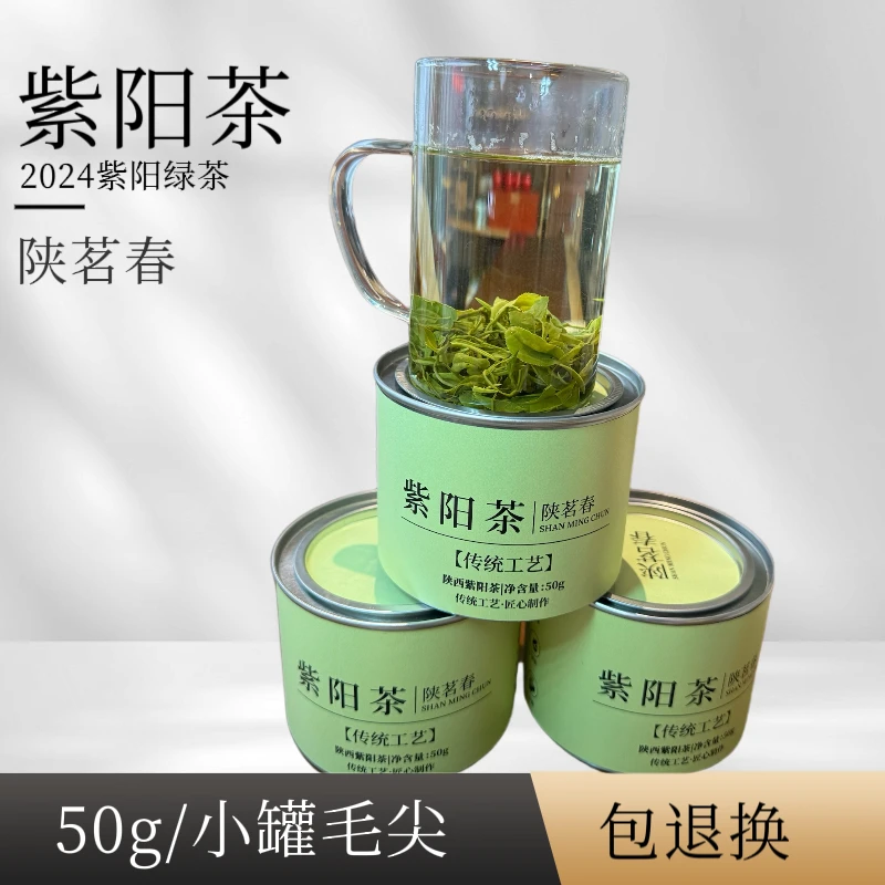 陕茗春 紫阳毛尖绿茶2024新茶高山云雾厂家直销高山茶