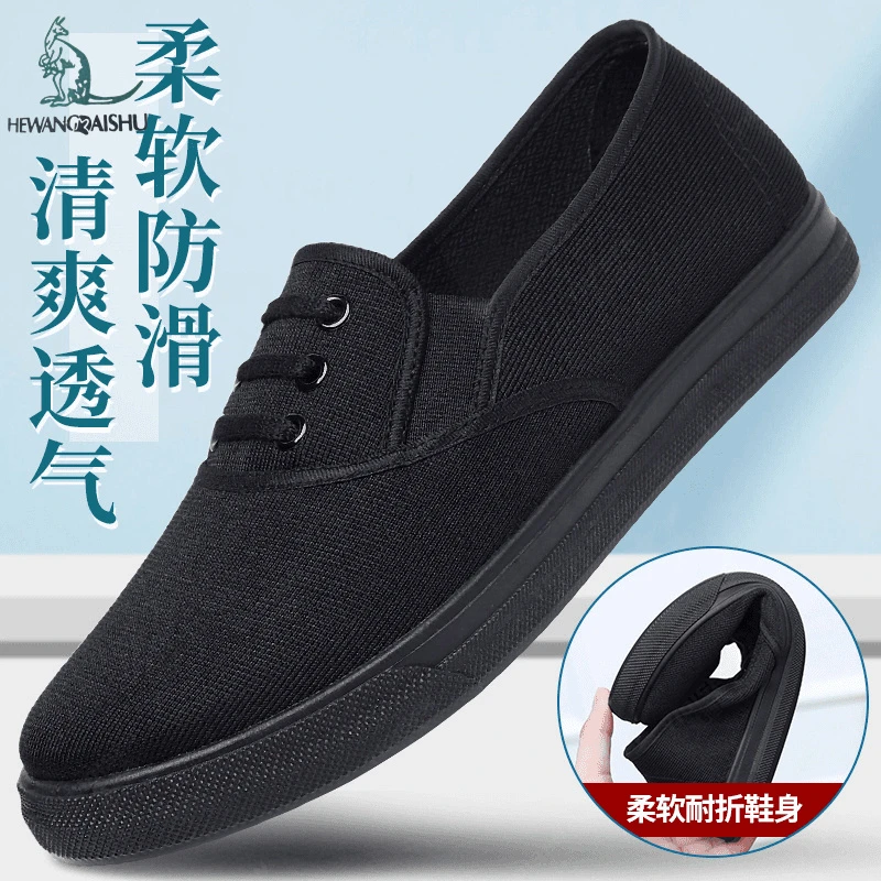 HEWANGDAISHU/鹤王袋鼠春秋新款柔软休闲透气防滑男老年鞋