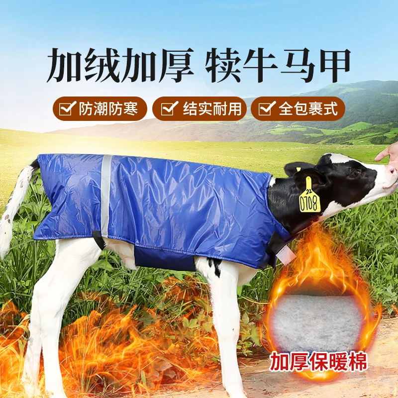 Z加绒加厚防水保暖犊牛马甲