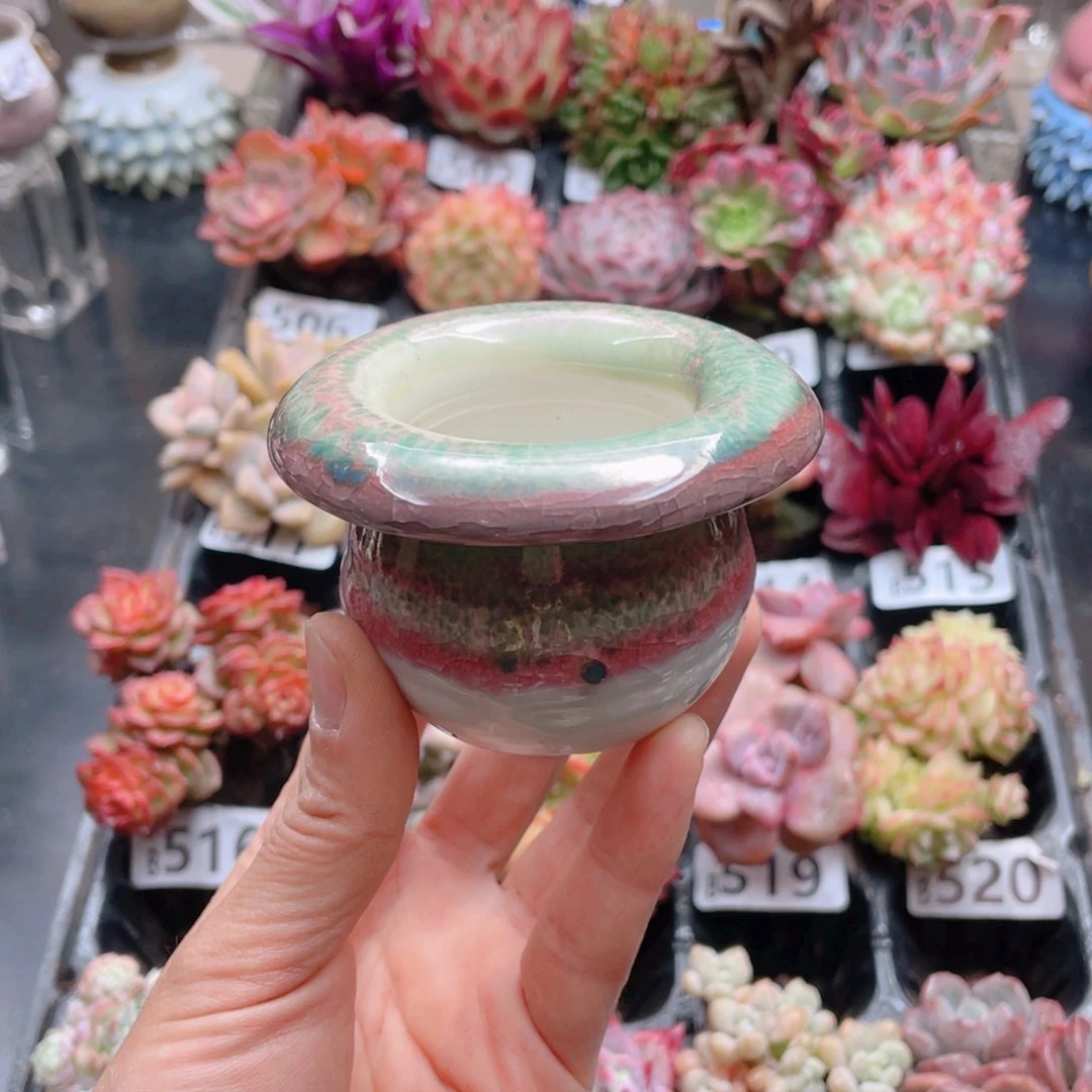 I**N花器花器花器花器花器