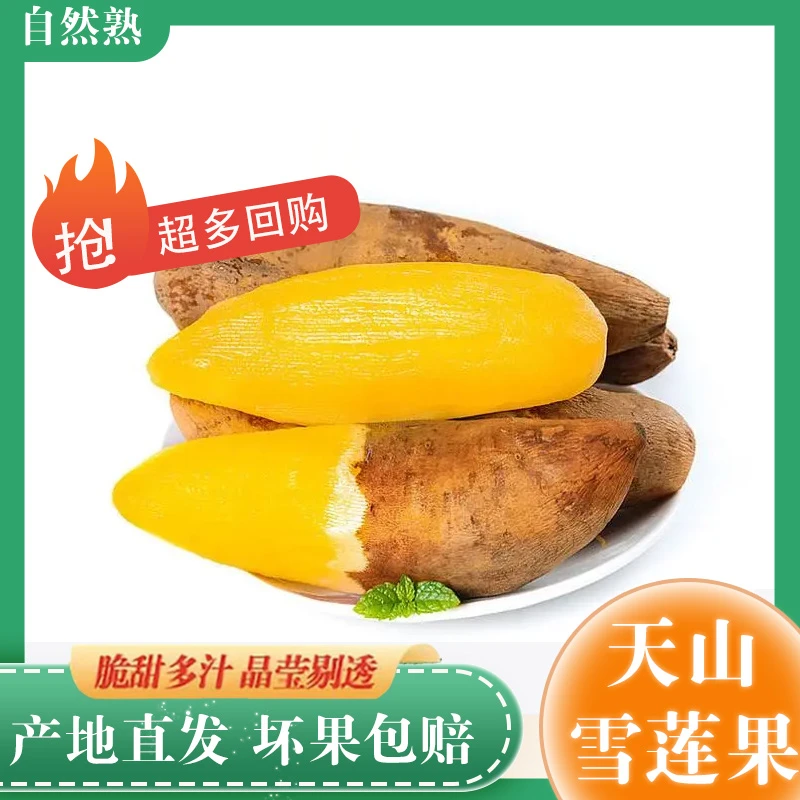 云南雪莲果精选大果5斤清甜多汁营养新鲜现挖优质
