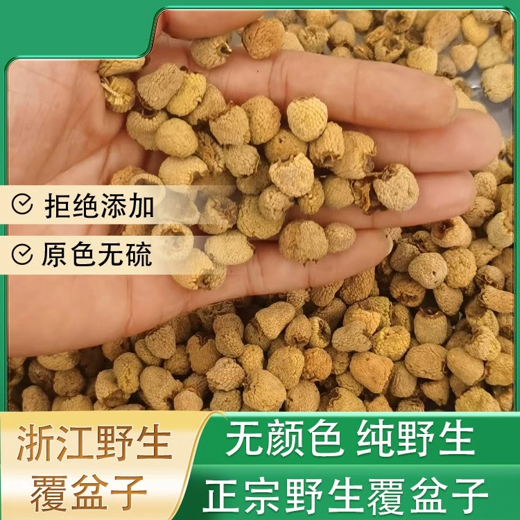 正宗浙江野生覆盆子泡茶泡酒必备