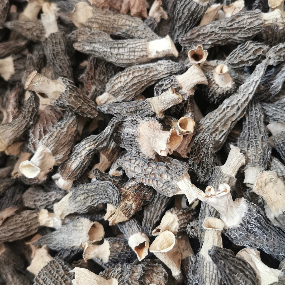 羊肚菌3-7公分 肉厚好吃煲汤250g包邮