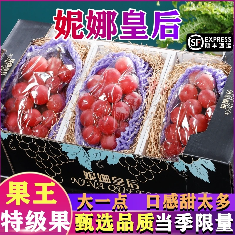 正宗妮娜皇后葡萄新鲜孕妇水果红宝石女皇公主无籽大红提 顺丰