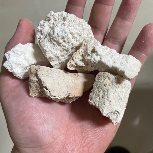 云南茯苓野野货煲汤煮水