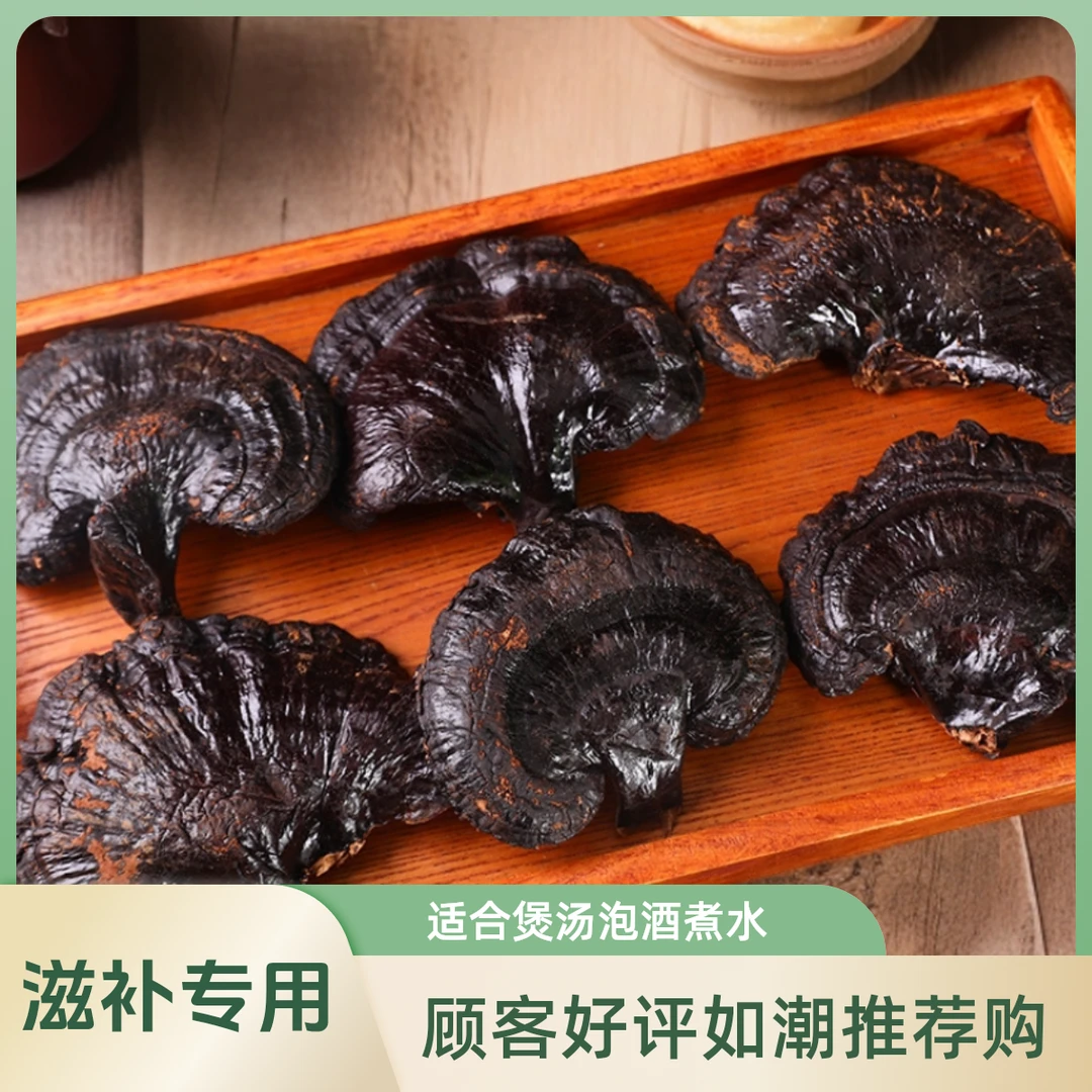 高海拔优选长白山黑灵芝煲汤泡酒煮水滋补专用