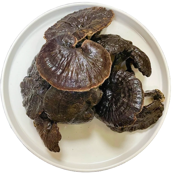 [精选福利]广西野山大灵芝整支泡酒煲汤煮水深山野生100/250g