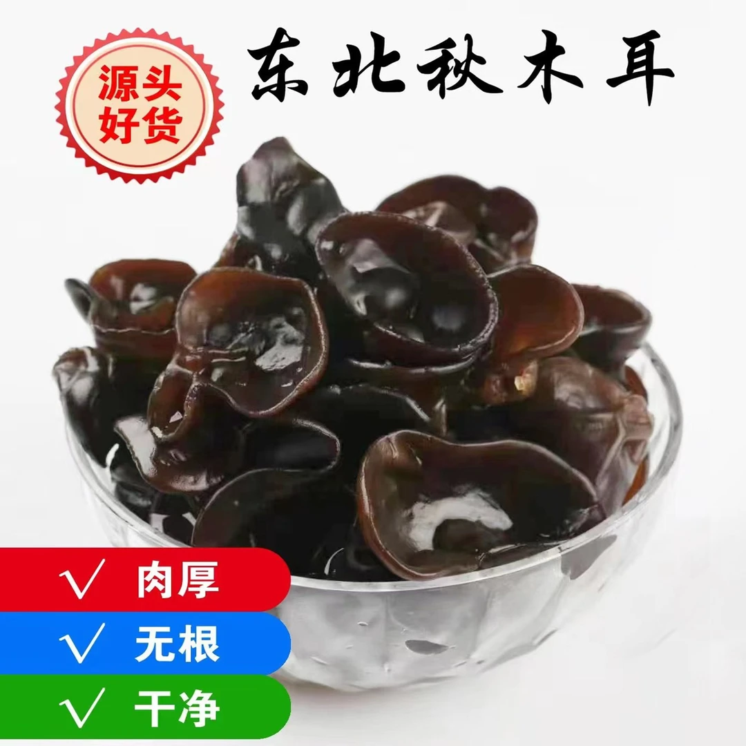 【特惠】大东北秋木耳肉厚无根营养头茬秋木耳干燥食用产品发货