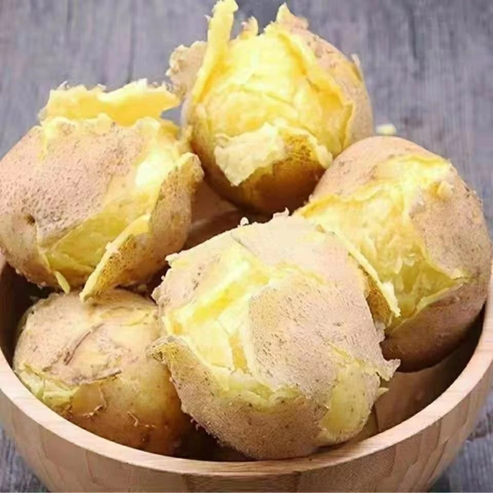 东北黄壤土豆5斤3斤包邮