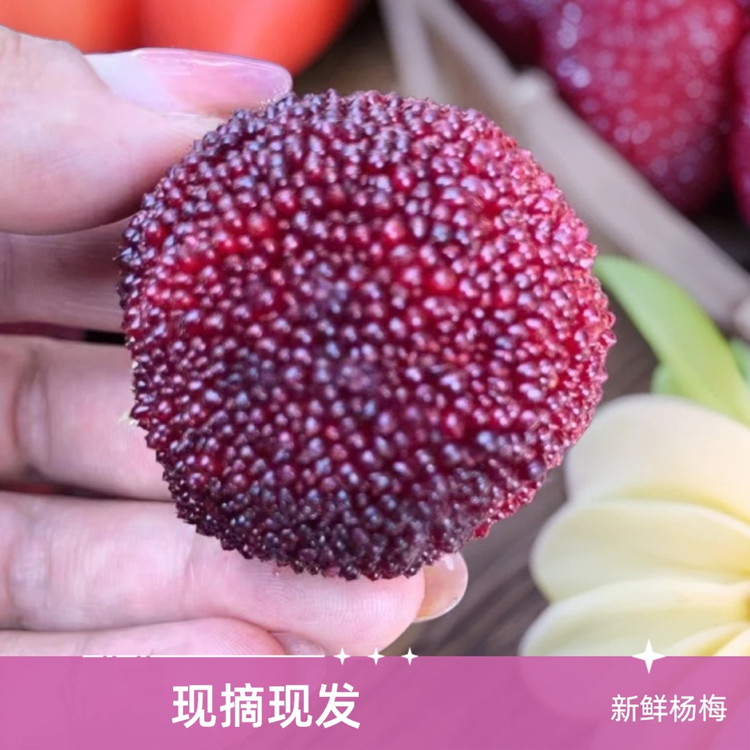 【6A】正宗仙居东魁杨梅 现摘现发 新鲜杨梅