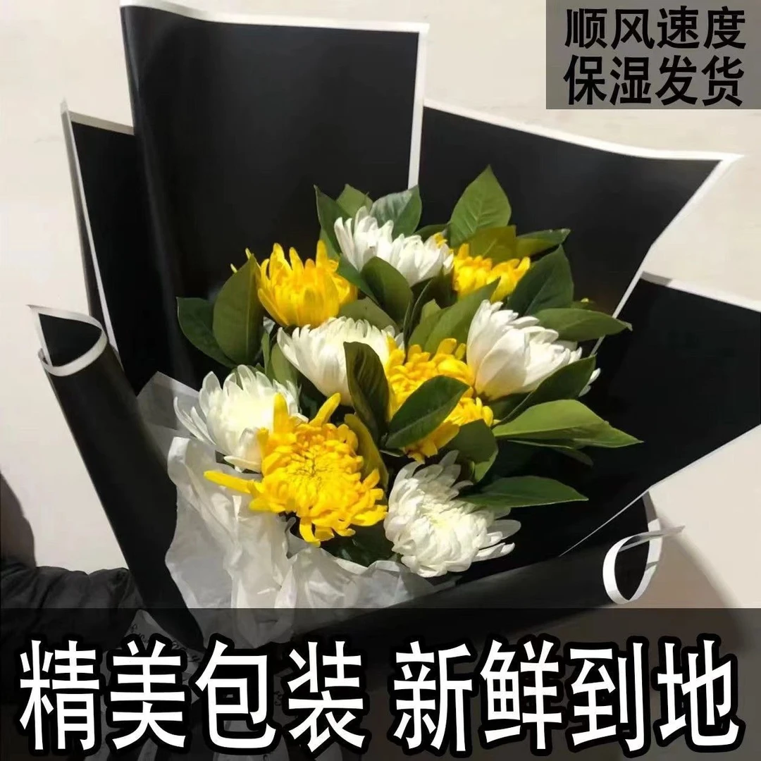 【人工鲜采】新鲜黄白菊花鲜切枝水培基地批发精致包装清明团购
