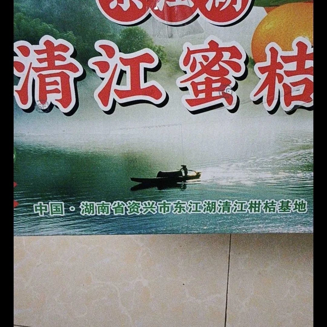 湖南正宗东江湖皮薄无籽多汁特早基地采摘桔子整箱包邮