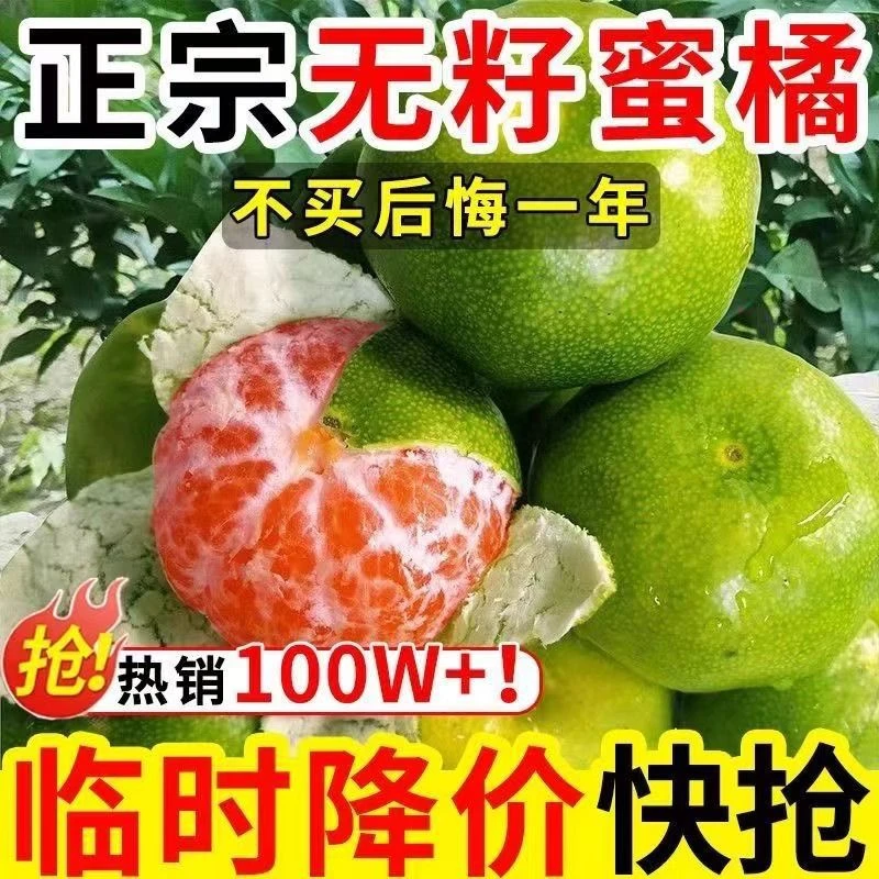 *青皮橘子*东江湖清江蜜桔特早酸甜可口皮薄多汁新鲜现货包邮批发