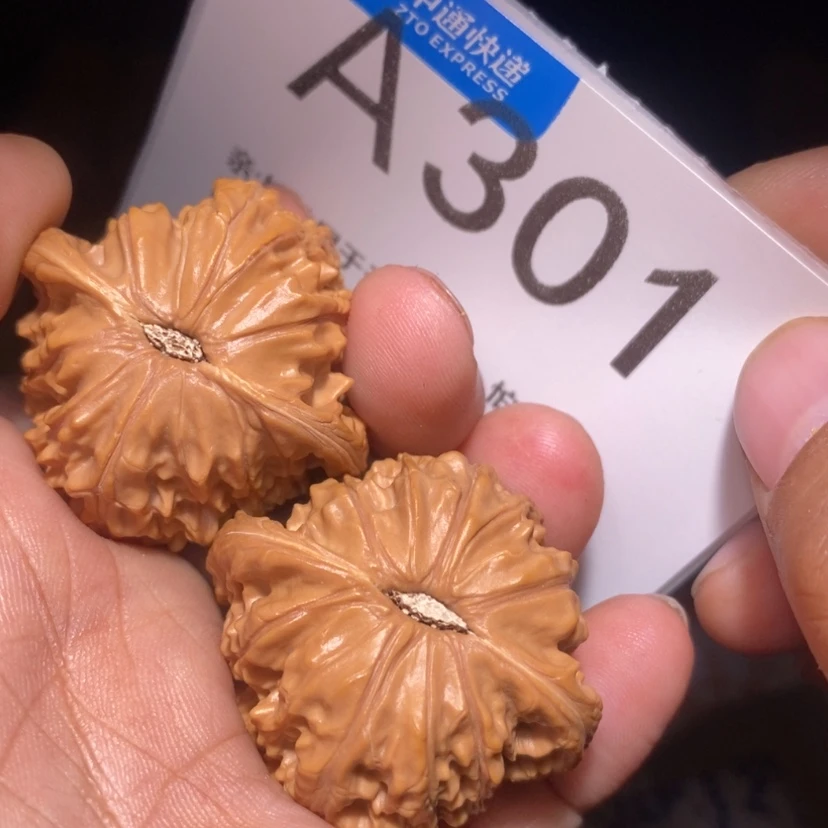 【闪购商品】文玩核桃把件猫*仙