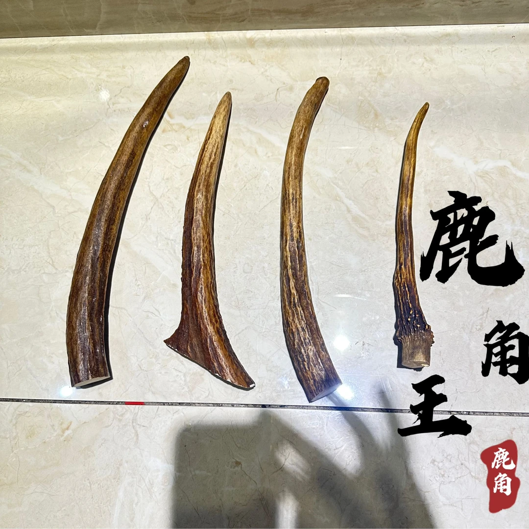 鹿角刀柄料 雕刻 把玩 手把件 鹿乡养殖鹿工艺品原料