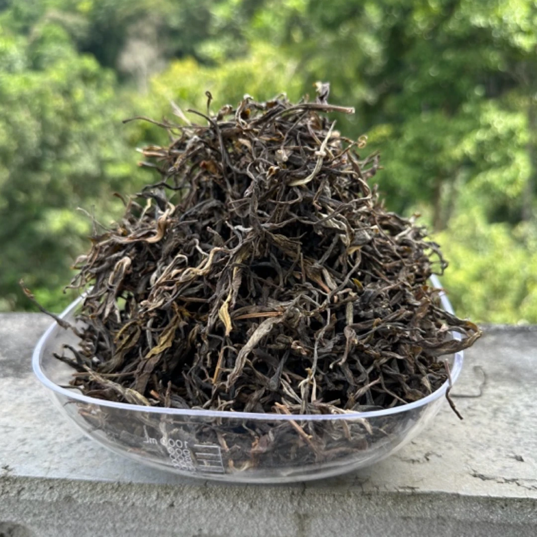 滑竹梁子单株散茶