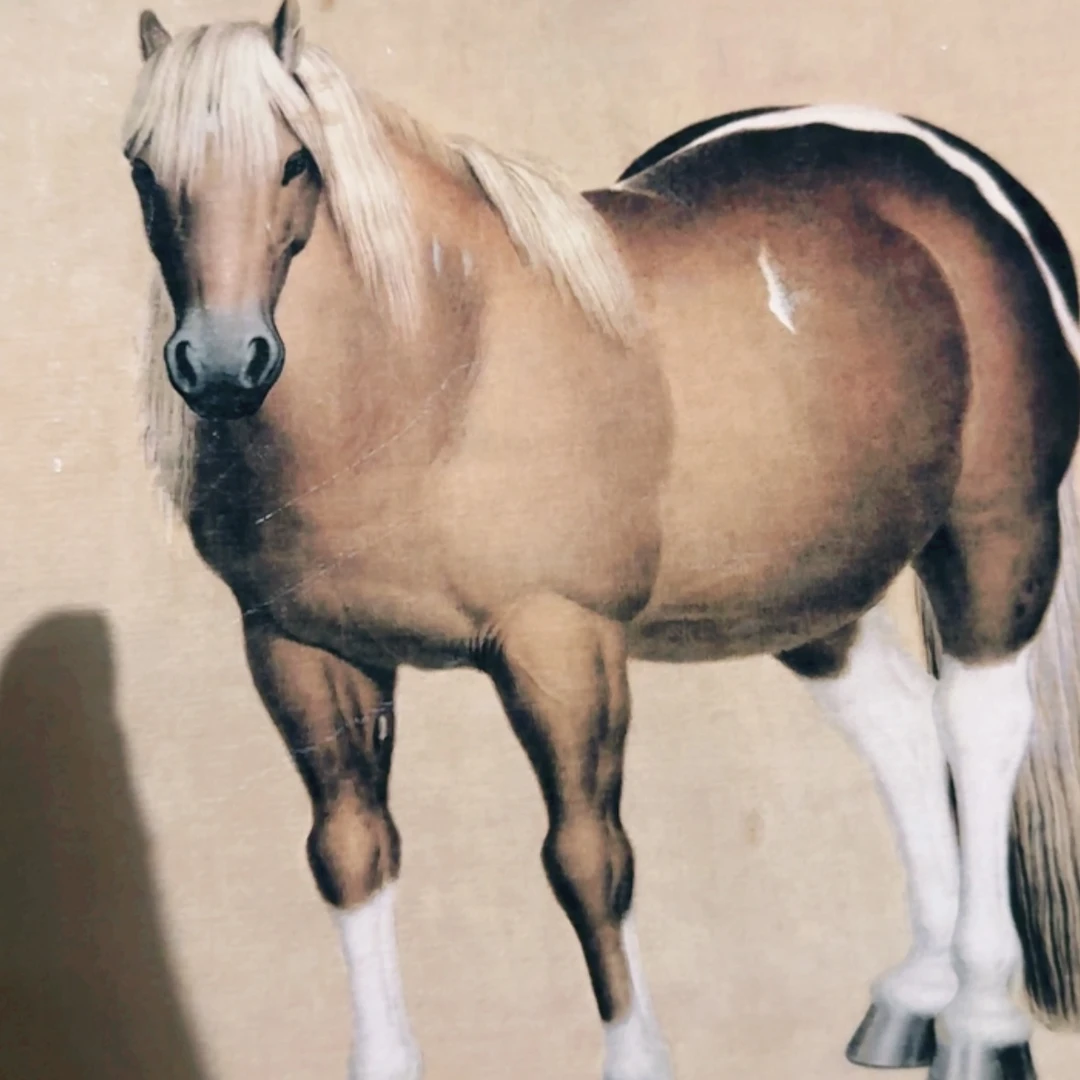 【闪购商品】书法大