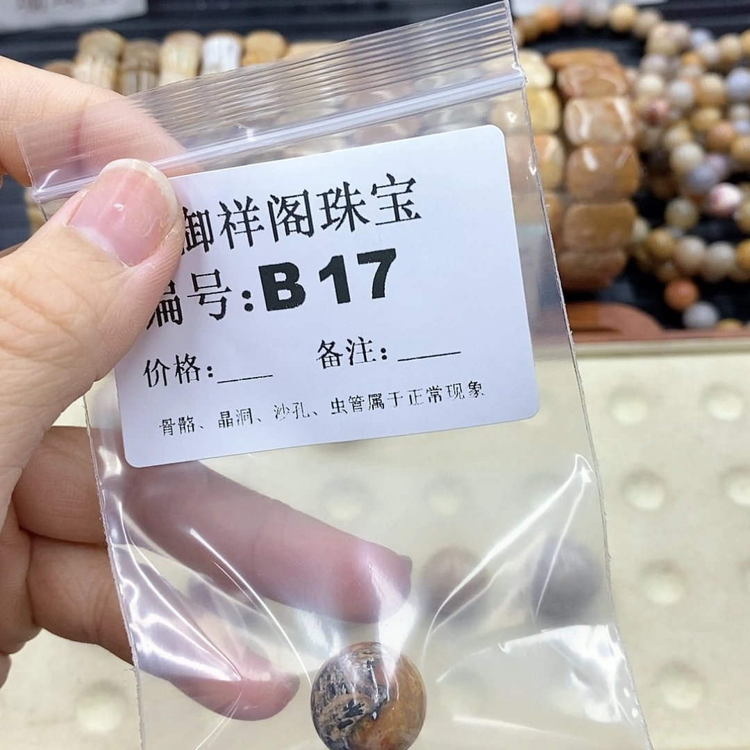 硅化珊瑚（珊瑚玉）I 未镶嵌李*