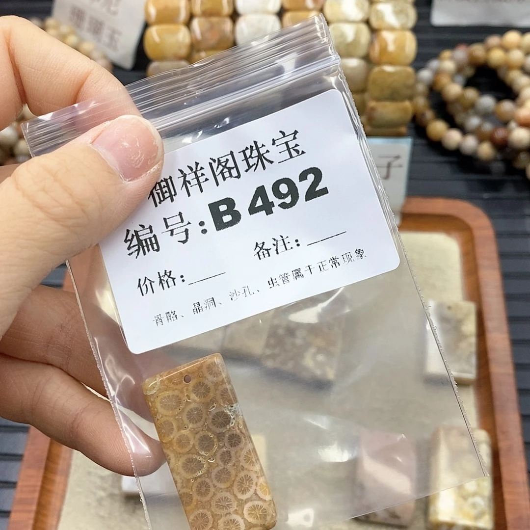 硅化珊瑚（珊瑚玉）B未镶嵌A****尔