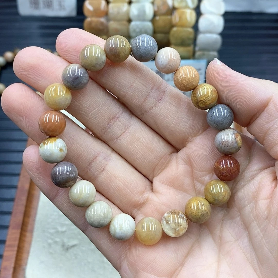 硅化珊瑚（珊瑚玉）B267未镶嵌
