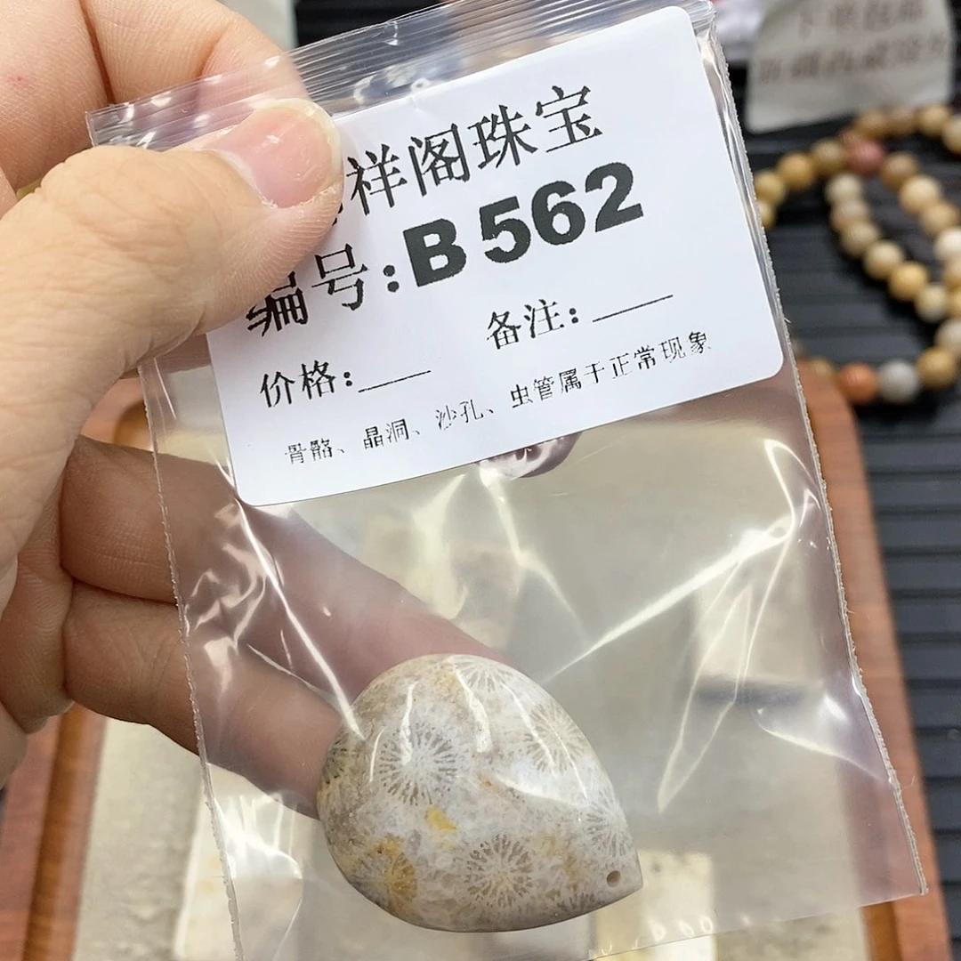 硅化珊瑚（珊瑚玉）B未镶嵌炸*花