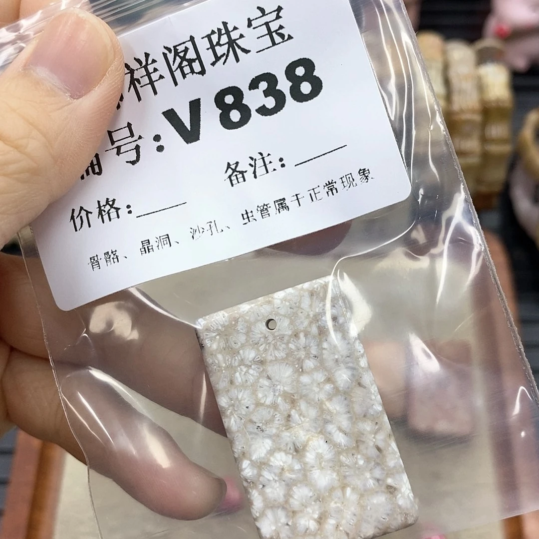硅化珊瑚（珊瑚玉）I 未镶嵌冰*
