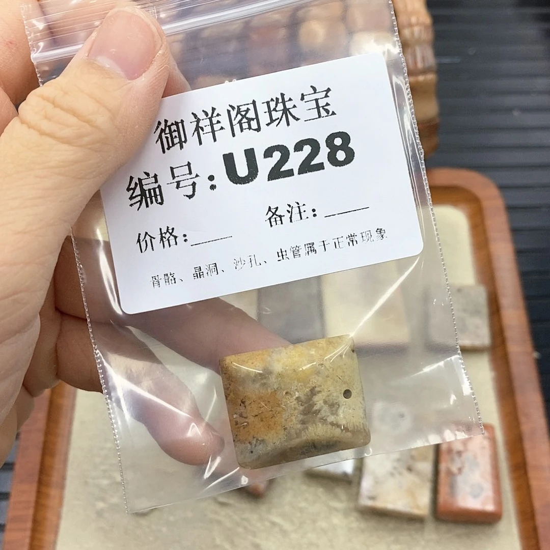 硅化珊瑚（珊瑚玉）U未镶嵌动****。