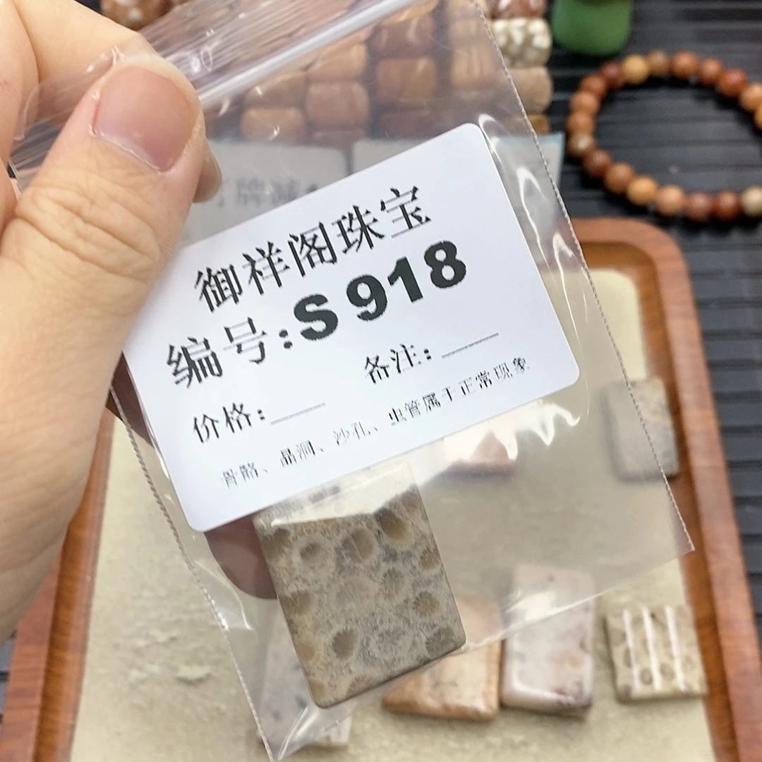 硅化珊瑚（珊瑚玉）S未镶嵌猫*晚