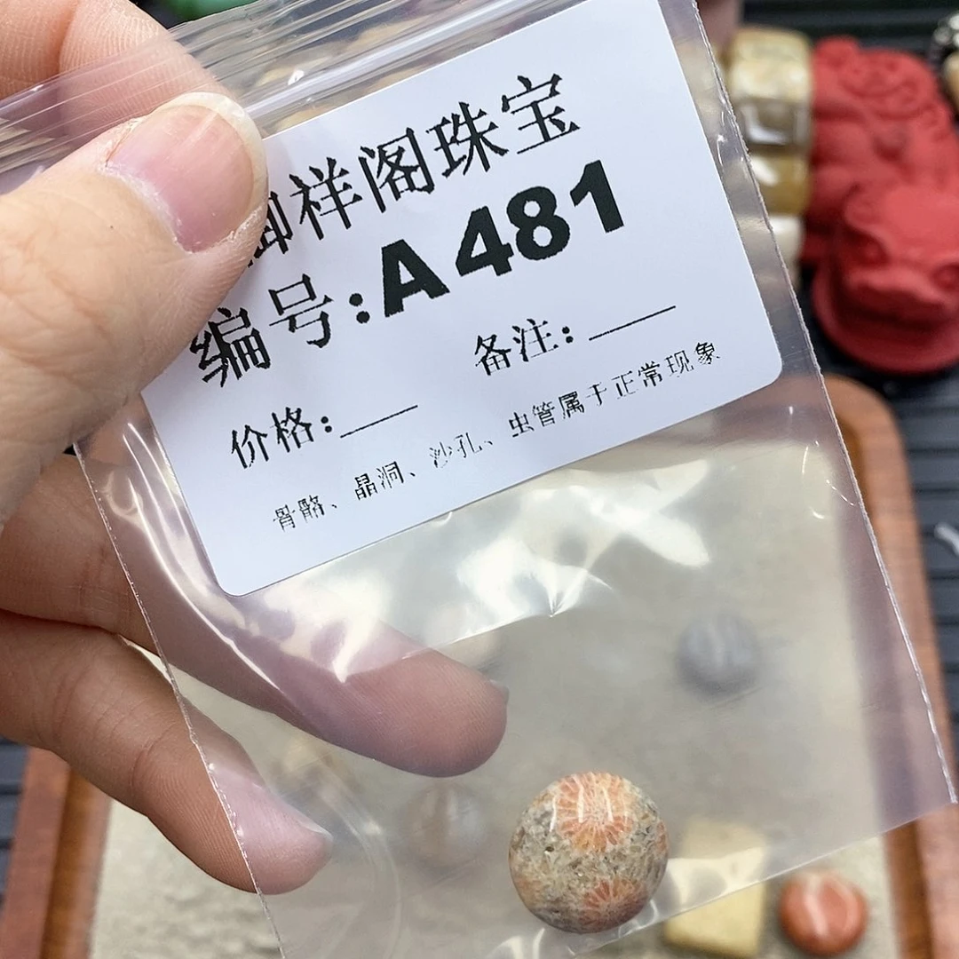 硅化珊瑚（珊瑚玉）I 未镶嵌盖*里