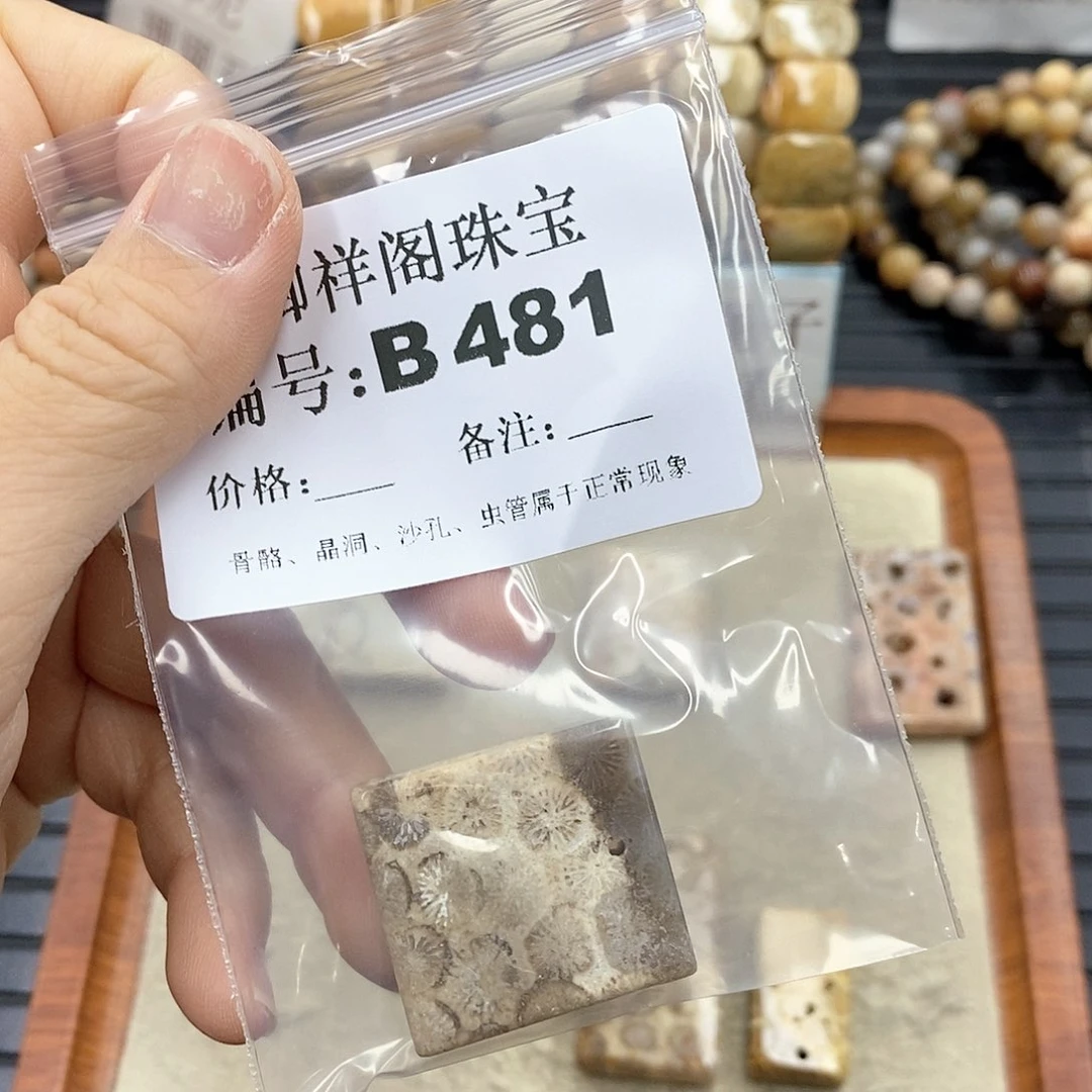 硅化珊瑚（珊瑚玉）B未镶嵌琪*贝