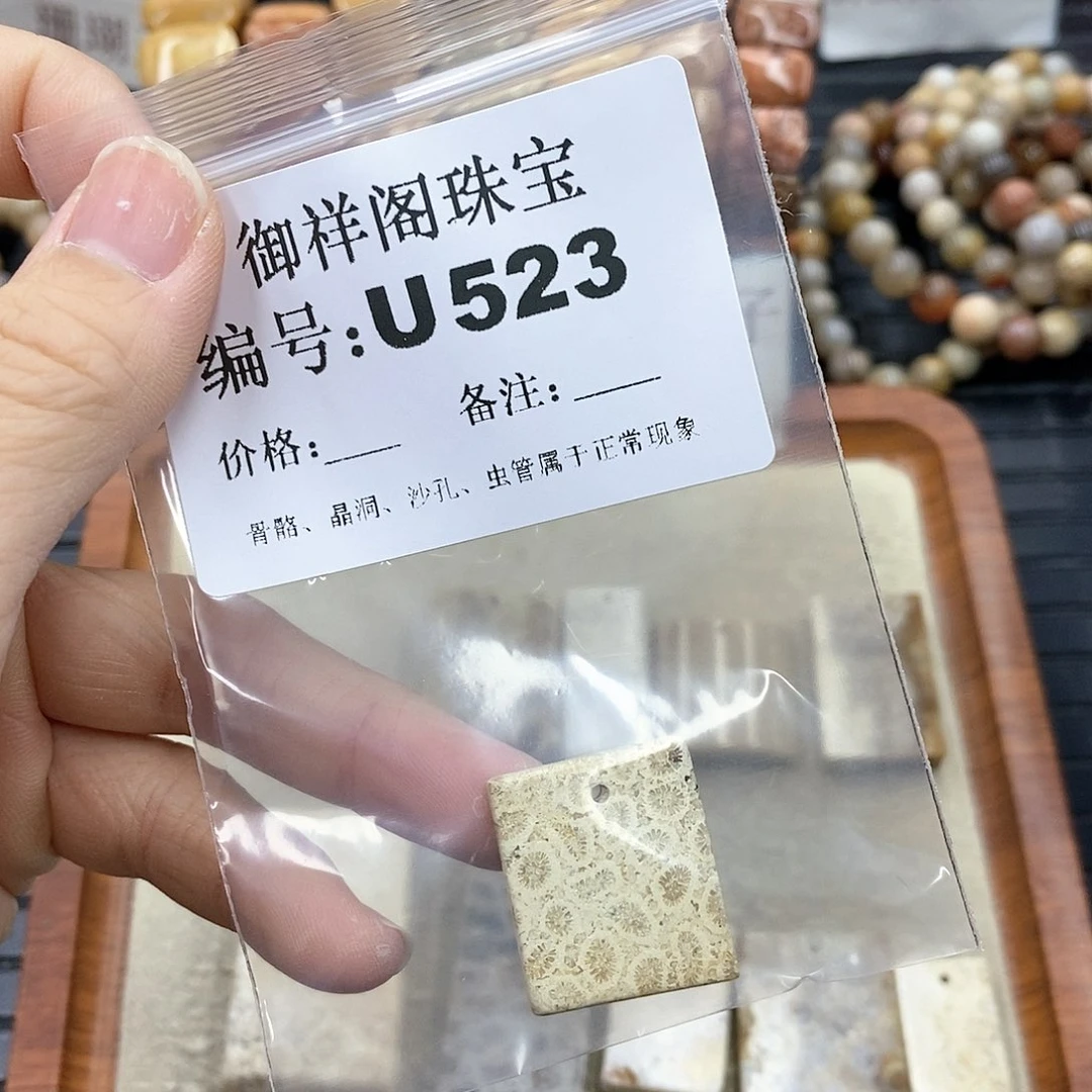 硅化珊瑚（珊瑚玉）I 未镶嵌快****?