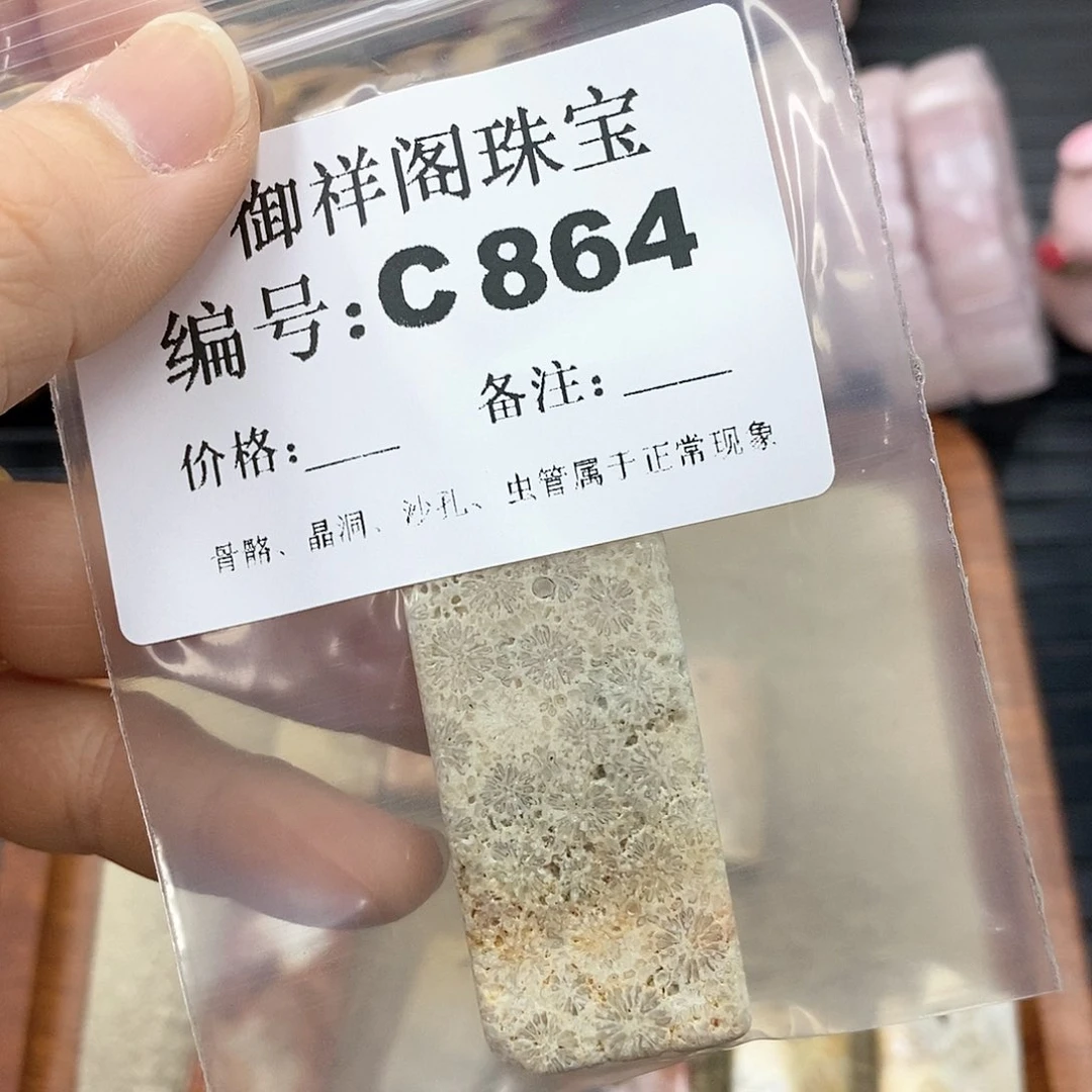硅化珊瑚（珊瑚玉）C未镶嵌x*y
