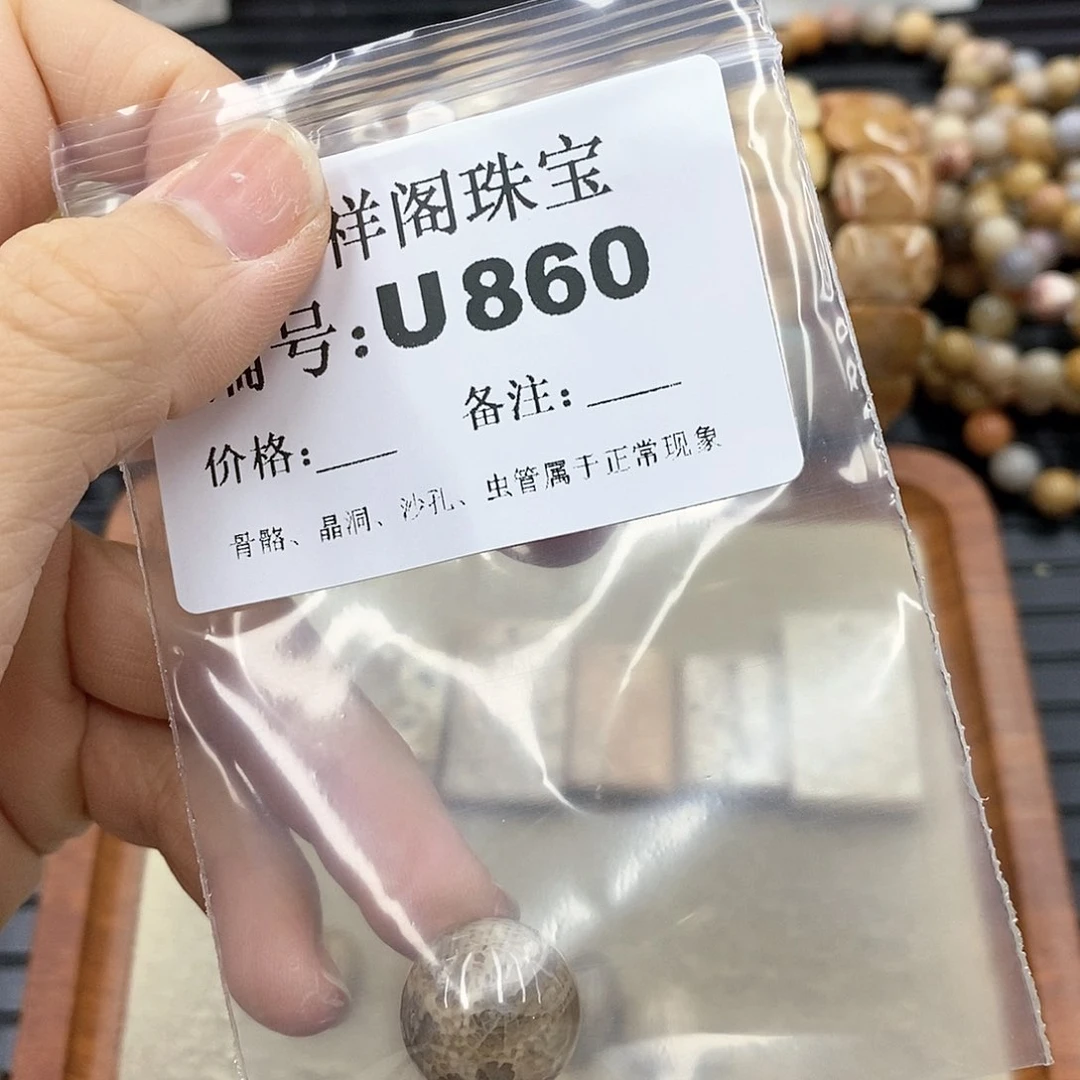 硅化珊瑚（珊瑚玉）I 未镶嵌?***?