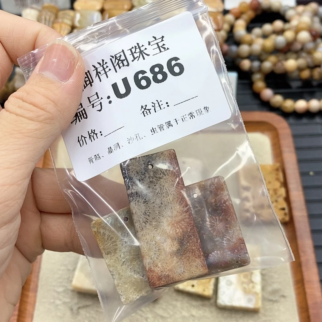 硅化珊瑚（珊瑚玉）U未镶嵌白****里