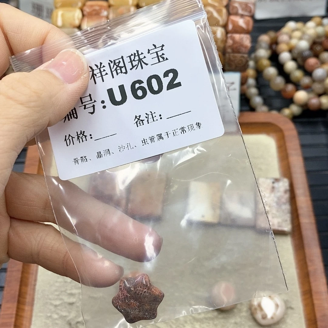 硅化珊瑚（珊瑚玉）I 未镶嵌秋*