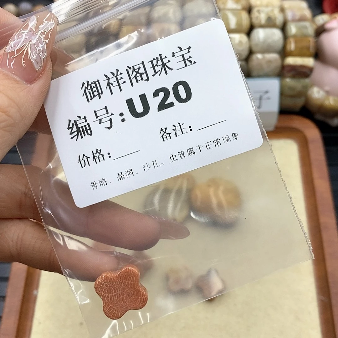 硅化珊瑚（珊瑚玉）N未镶嵌p****u
