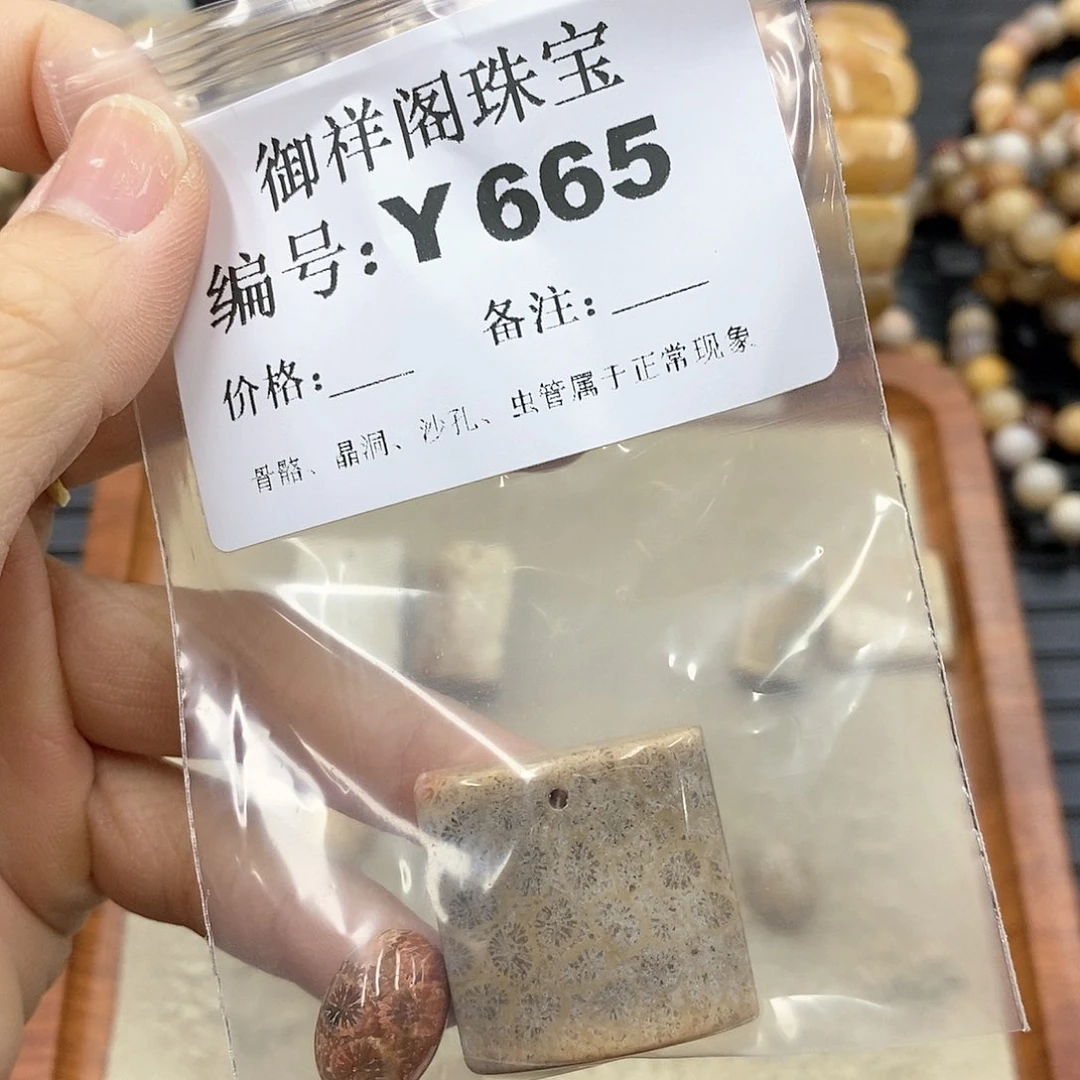 硅化珊瑚（珊瑚玉）Y未镶嵌?***?