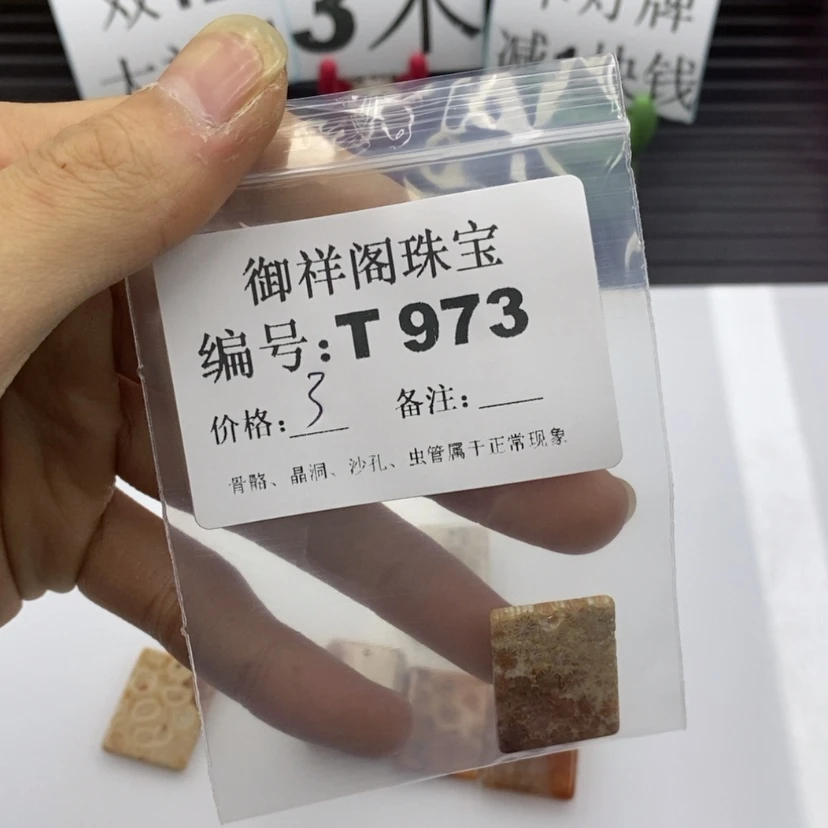 【闪购商品】硅化珊瑚（珊瑚玉）1未镶嵌b**l