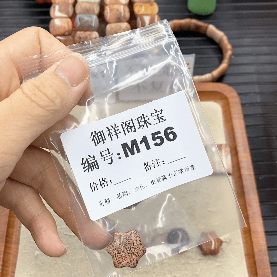 硅化珊瑚（珊瑚玉）M未镶嵌J****a
