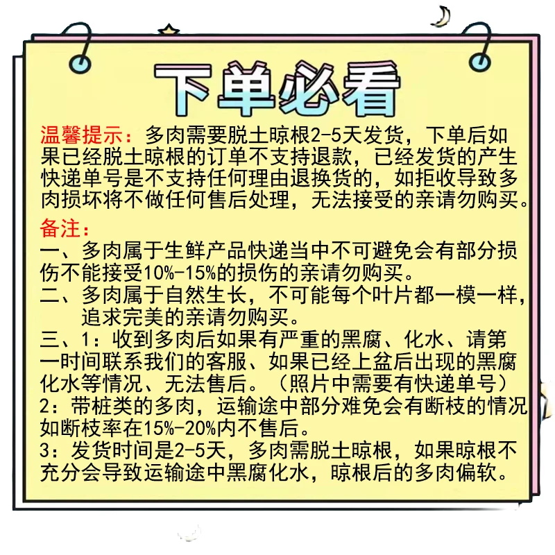 阳阳多肉园艺【寄养发货】